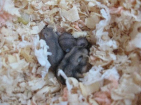 kkkkkkkkkkkkkkkkkkkkkkkk